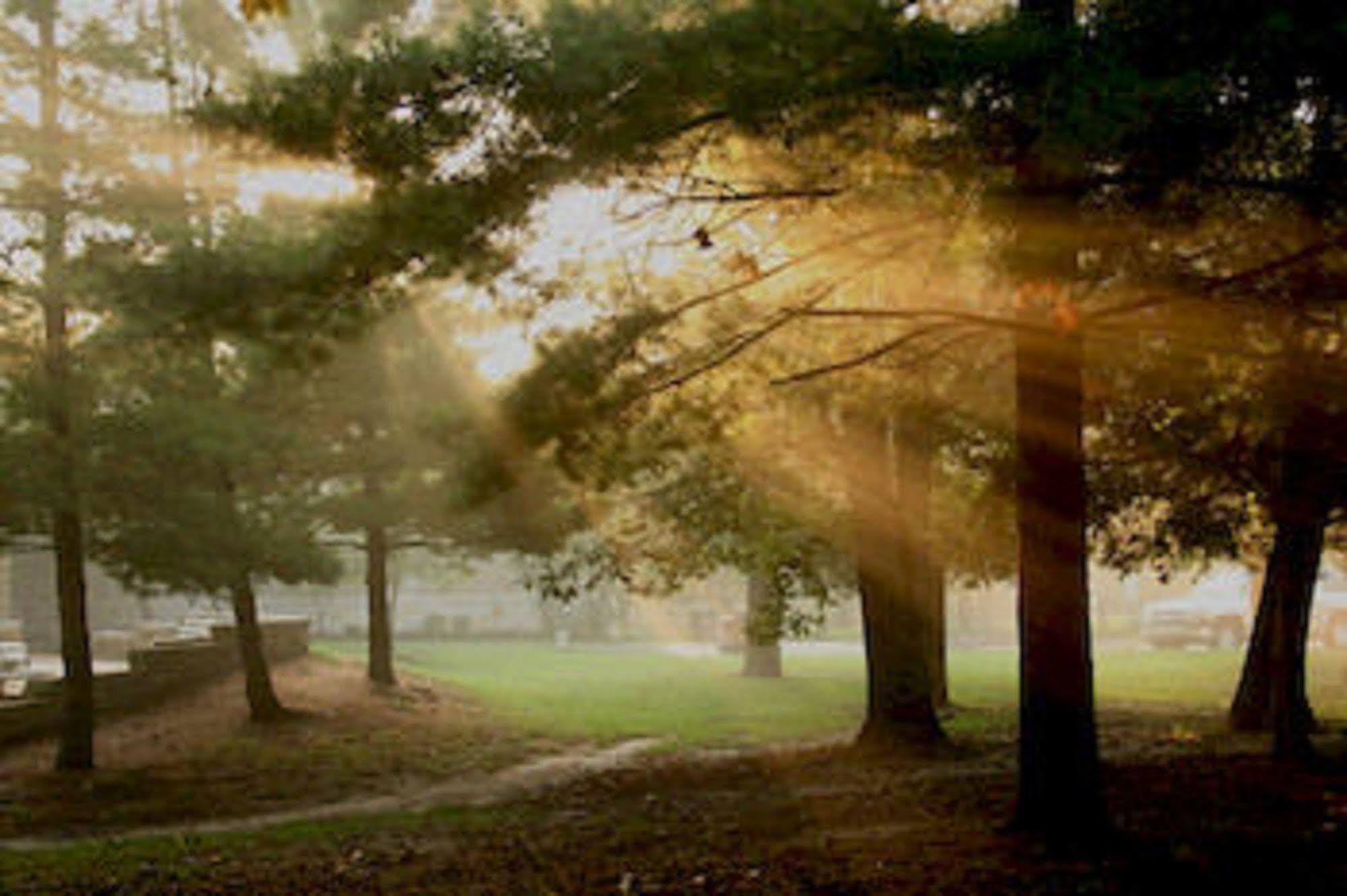 Starved Rock Lodge & Conference Center Utica Екстериор снимка